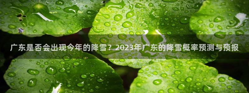 辉达娱乐加拿大在线预测：广东是否会出现今年的降雪？2023年广东的降雪概率预测与预报