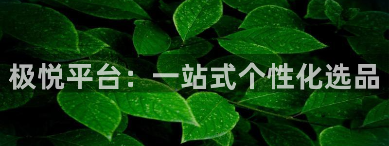 辉达娱乐ccmpc麻将胡了：极悦平台：一站式个性化选品