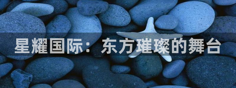 成辉达门业官网：星耀国际：东方璀璨的舞台