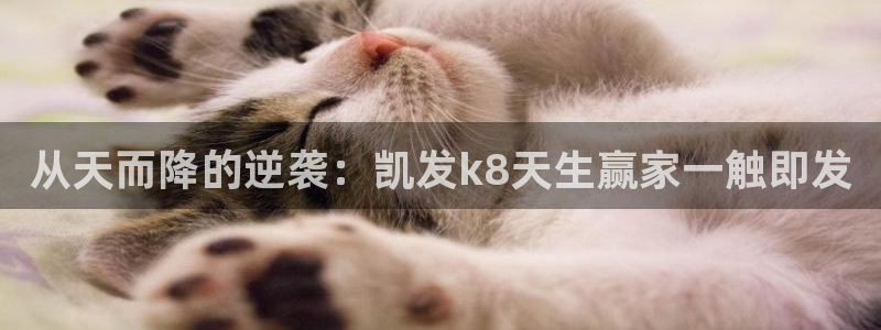 壹号平台下载：从天而降的逆袭：凯发k8天生赢家一触即发