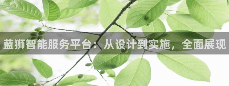 壹号平台注册链接官网下载：蓝狮智能服务平台：从设计到实施，全面展现