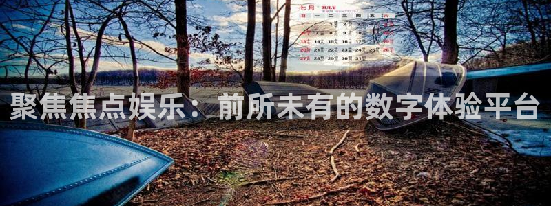 壹号大舞台28国际大舞台：聚焦焦点娱乐：前所未有的数字体验平台
