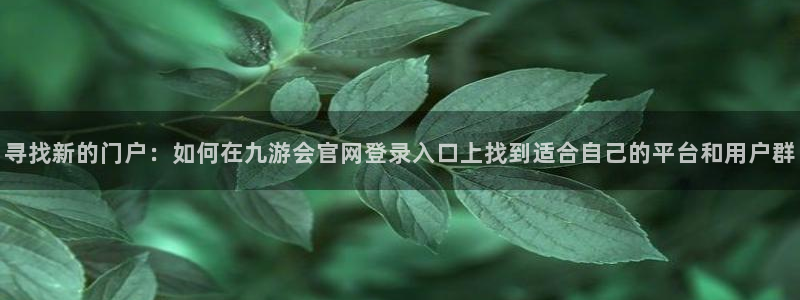 辉达娱乐平台：寻找新的门户：如何在九游会官网登录入口上找到适合自己的平台和用户群