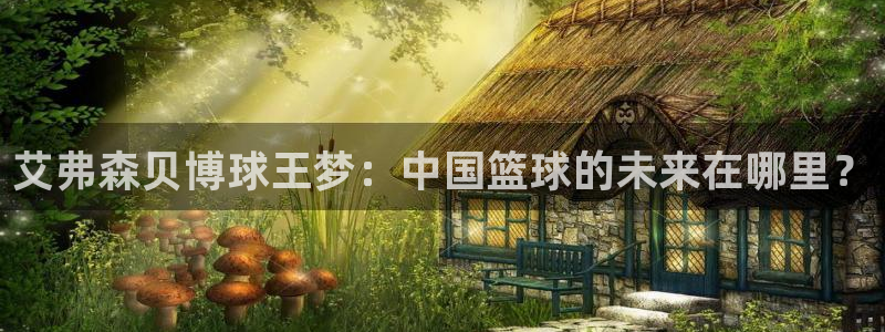 辉达娱乐pg电子游戏在线玩：艾弗森贝博球王梦：中国篮球的未来在哪里？