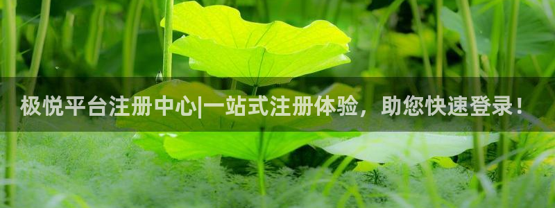 辉达娱乐注册登录入口：极悦平台注册中心|一站式注册体验，助您快速登录！