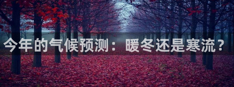 辉达娱乐账号注册：今年的气候预测：暖冬还是寒流？