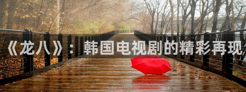 辉达娱乐,apk：《龙八》：韩国电视剧的精彩再现