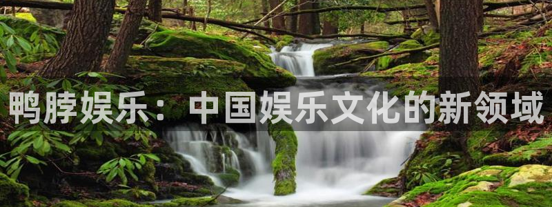 辉达娱乐app下载安装