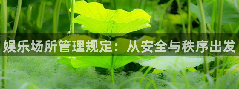 壹号平台app下载安装