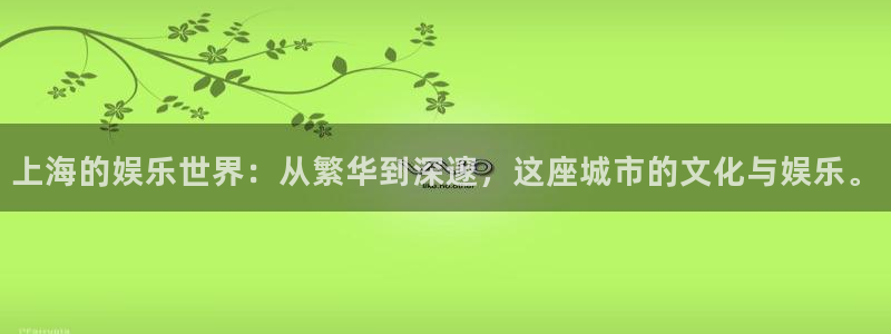 辉达娱乐吧：上海的娱乐世界：从繁华到深邃，这座城市的文化与娱乐。