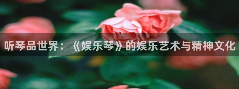 辉达平台开户：听琴品世界：《娱乐琴》的娱乐艺术与精神文化
