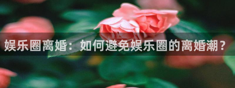 辉达招商：娱乐圈离婚：如何避免娱乐圈的离婚潮？