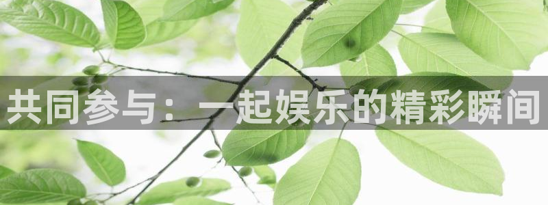 辉达娱乐注册网站app：共同参与：一起娱乐的精彩瞬间