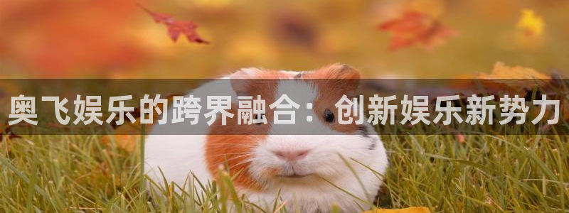 壹号国际app免费下载安装：奥飞娱乐的跨界融合：创新娱乐新势力