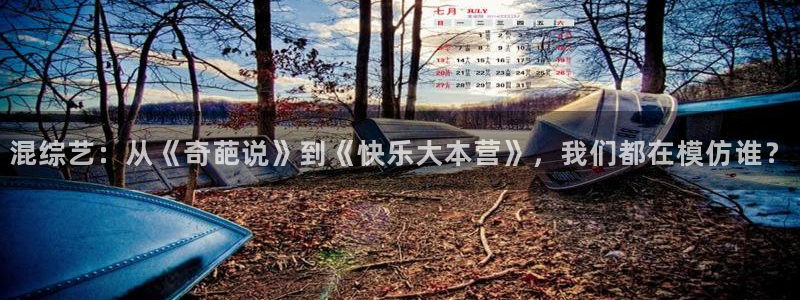 辉达注册官网入口：混综艺：从《奇葩说》到《快乐大本营》，我们都在模仿谁？