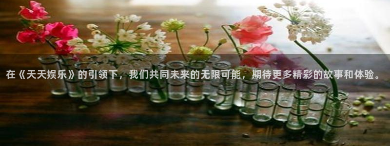 辉达娱乐网站平台：在《天天娱乐》的引领下，我们共同未来的无限可能，期待更多精彩的故事和体验。