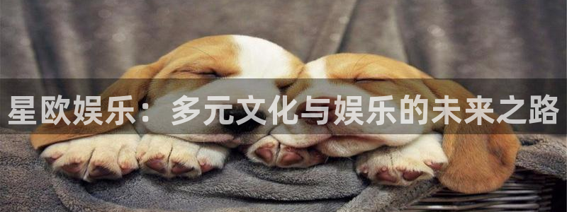 辉达娱乐,apk：星欧娱乐：多元文化与娱乐的未来之路