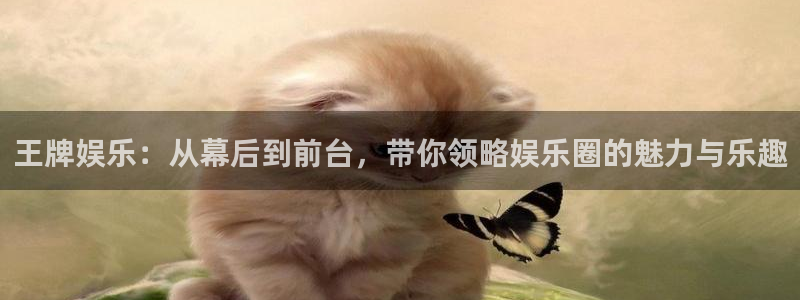 辉达娱乐app下载：王牌娱乐：从幕后到前台，带你领略娱乐圈的魅力与乐趣