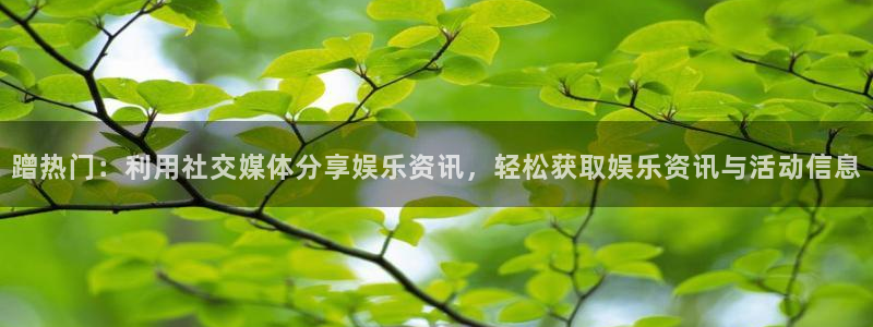 下载辉达娱乐app：蹭热门：利用社交媒体分享娱乐资讯，轻松获取娱乐资讯与活动信息